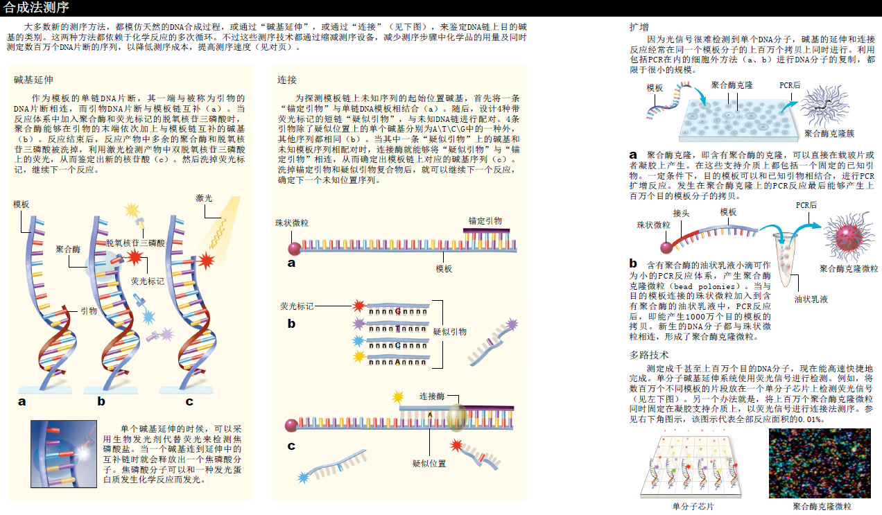 1000美元测出你的基因组 (2).png