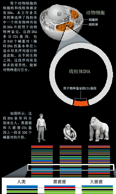 QQ截图20151224103029.png