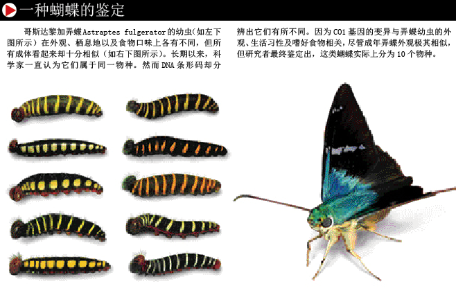 QQ截图20151224103039.png