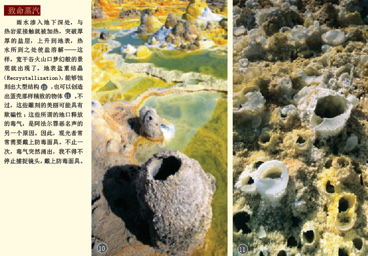 海洋 (6).png