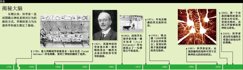 遥控大脑 (2).png