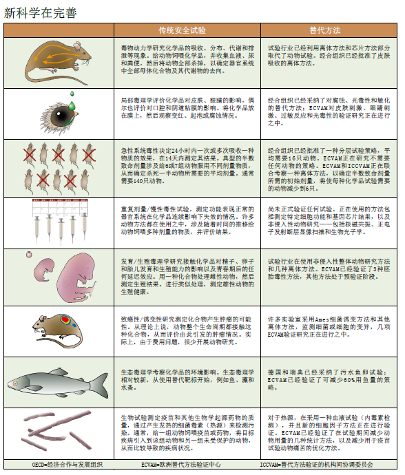 拯救兔子 动物替代渐行渐近 (1).png