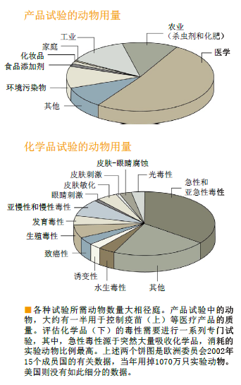 拯救兔子 动物替代渐行渐近 (2).png