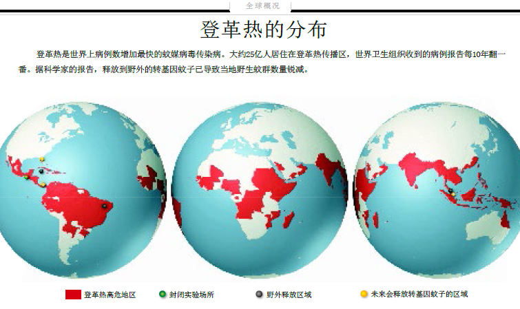 灭蚊“基因战”3.png