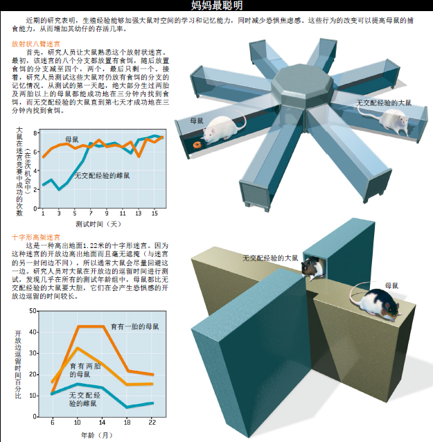 做母亲让女人更聪明 (2).png
