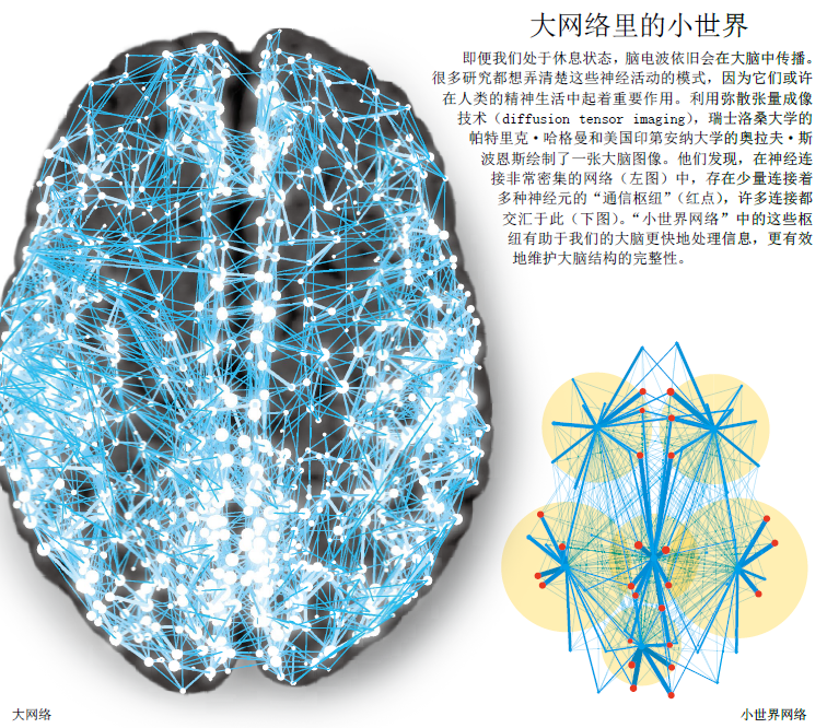百万亿神经连接编织意识4.png