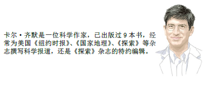 百万亿神经连接编织意识2.png