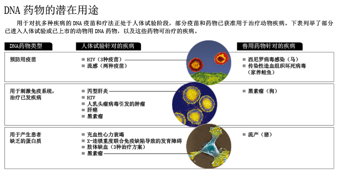 DNA药物：让人体细胞变成制药工厂 (4).png