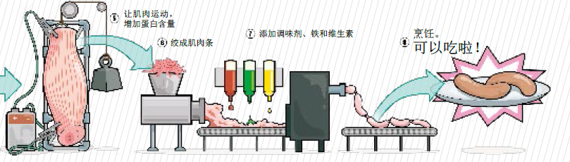 在实验室里“种”牛排2.png
