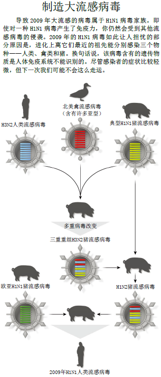 猪圈里的大流感隐患2.png