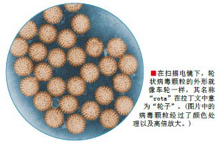 让致命腹泻远离儿童 (2).png