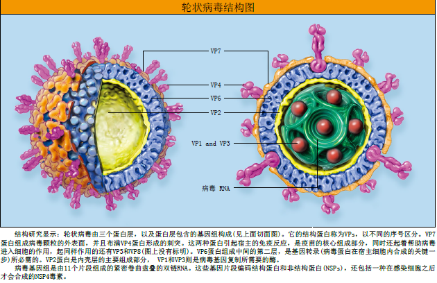 让致命腹泻远离儿童 (4).png