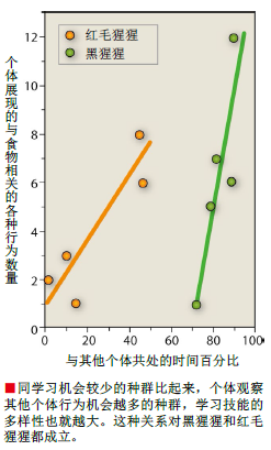 有文化的红毛猩猩 (5).png