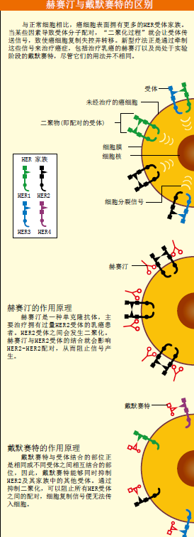 抗癌先锋.png