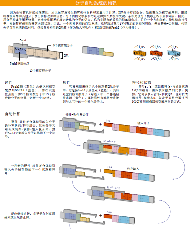 深入细胞的医生 (4).png