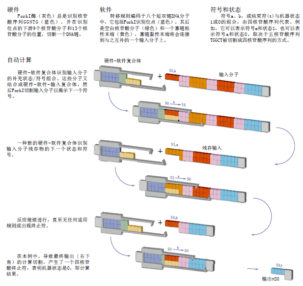 深入细胞的医生 (5).png