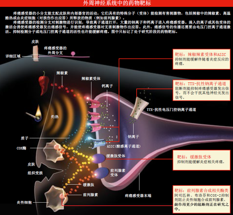 告别疼痛 (1).png