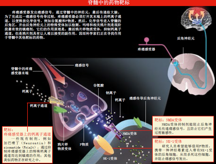 告别疼痛 (2).png