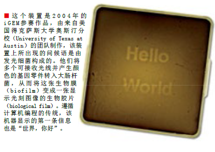 组装生命的生物工厂 (2).png