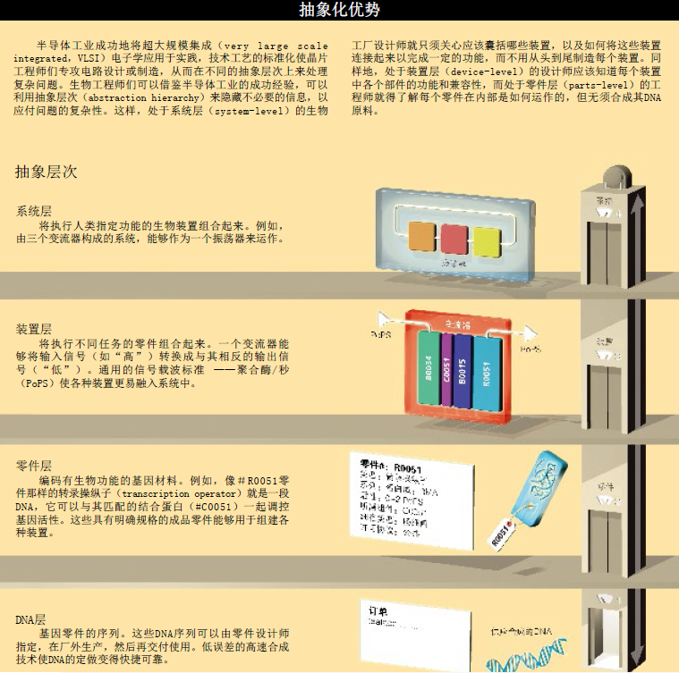 组装生命的生物工厂 (3).png