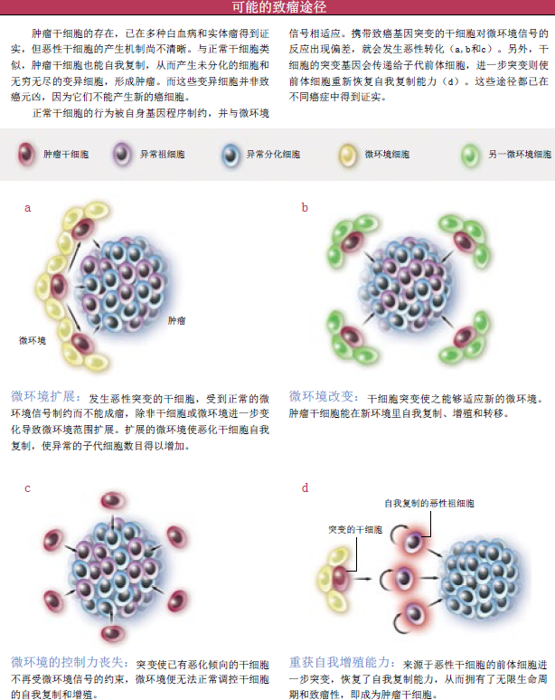 癌症之谜 (2).png