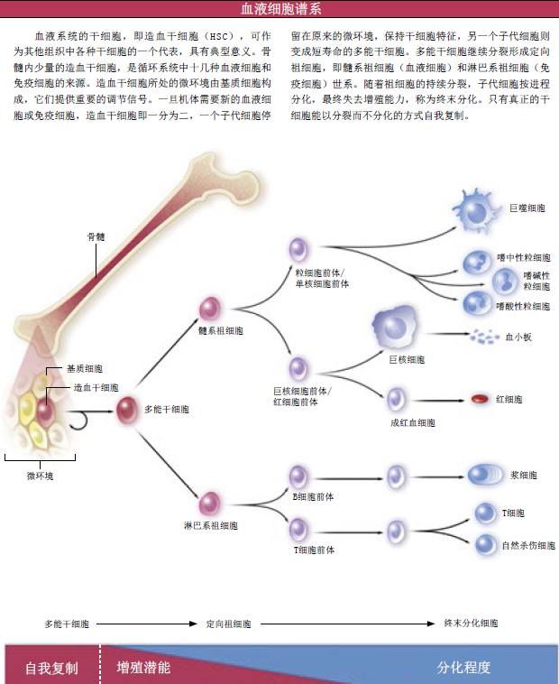 癌症之谜 (3).png