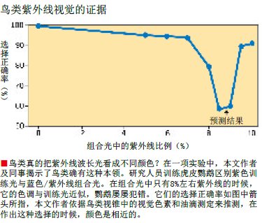 看世界：更缤纷 的色彩 (1).png