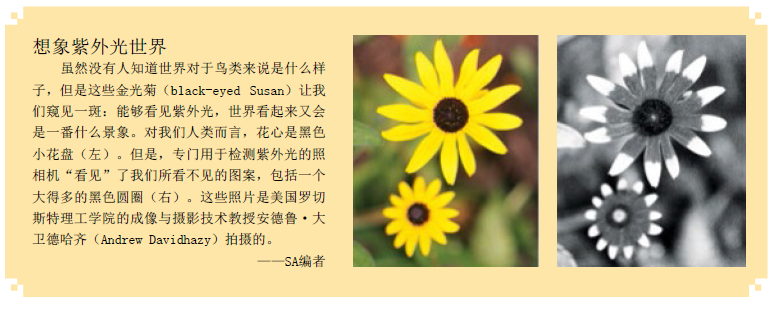 看世界：更缤纷 的色彩 (2).png