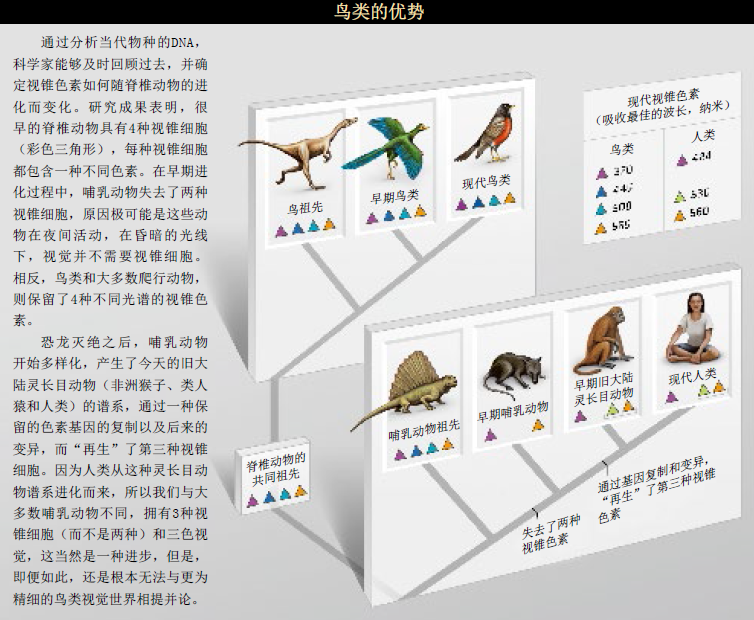 看世界：更缤纷 的色彩 (6).png