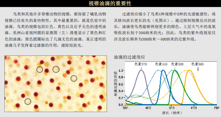 看世界：更缤纷 的色彩 (7).png