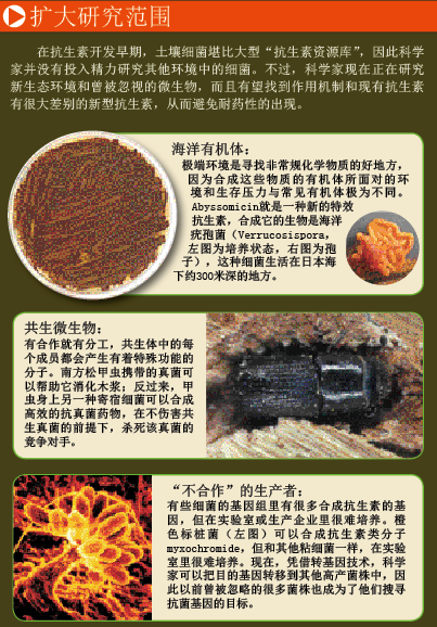 谁能抵御超级耐药菌？ (3).png