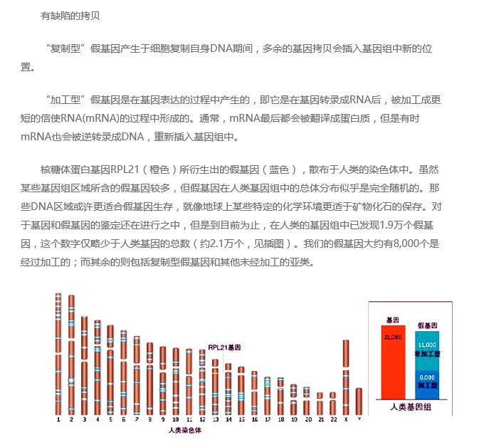 假基因的真面目-2.png