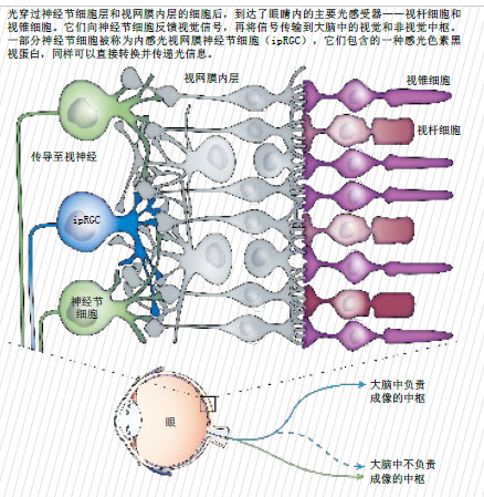 第三类视觉1.png