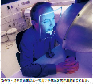 第三类视觉2.png
