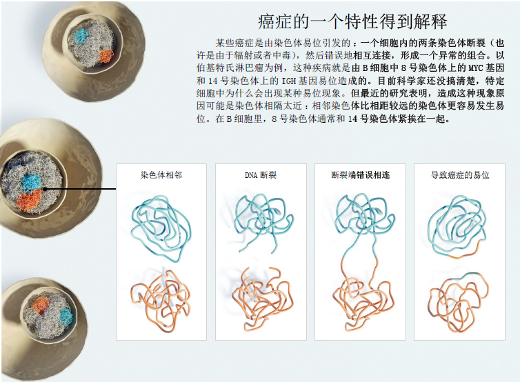 染色体动了 疾病来了3.png