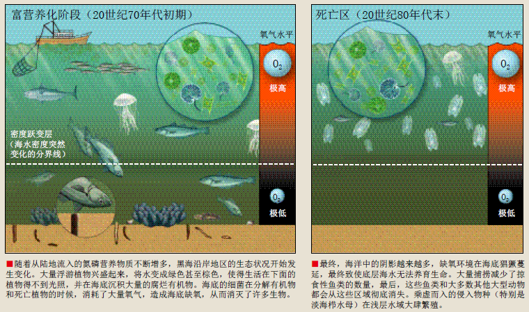 复活死亡之海 (4).png