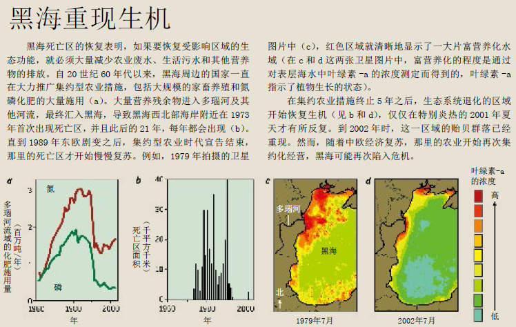 复活死亡之海 (6).png