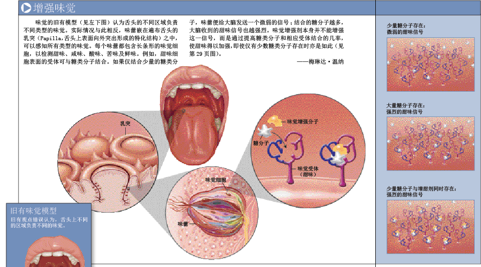 味觉“放大器”.png