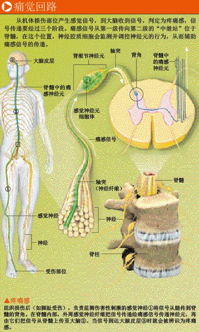 慢性痛生命不能承受之重 (1).png