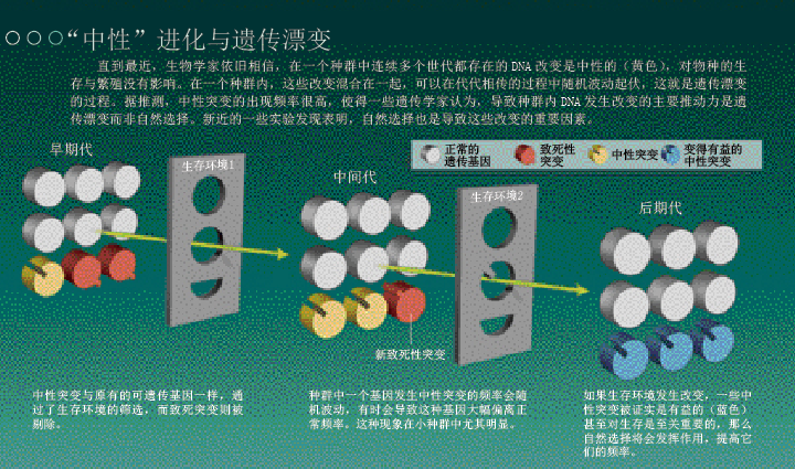 自然的主动选择 (3).png