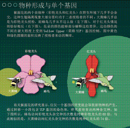 自然的主动选择 (4).png