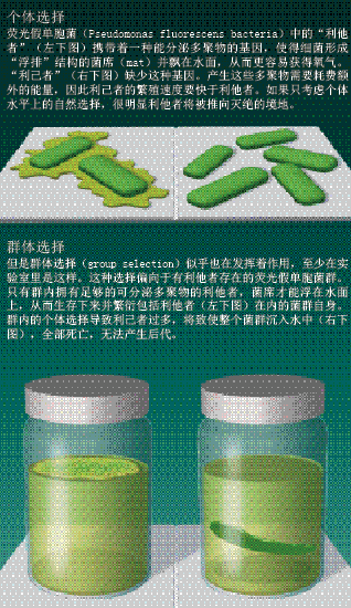 自然的主动选择 (5).png