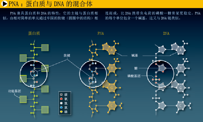 创造没有DNA的生命 (1).png
