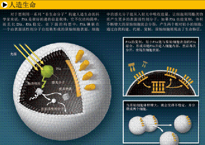 创造没有DNA的生命 (4).png