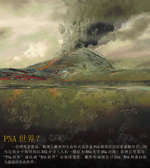 创造没有DNA的生命 (5).png