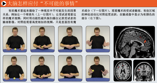 魔术脑科学 (5).png