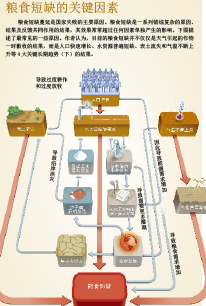 粮食危机 (3).png