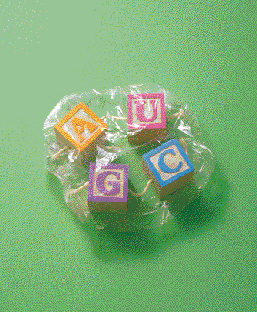 重返生命源头 (1).png