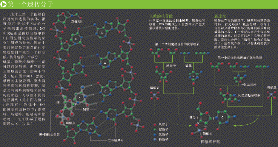 重返生命源头 (2).png