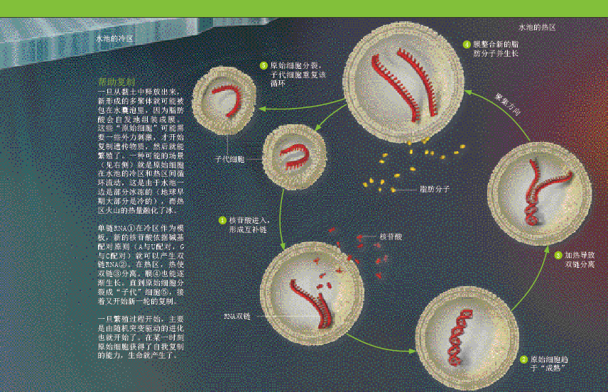 重返生命源头 (3).png